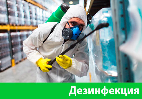 Дезинфекция в городе Курск