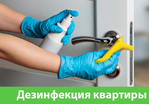 Дезинфекция квартиры в городе Курск