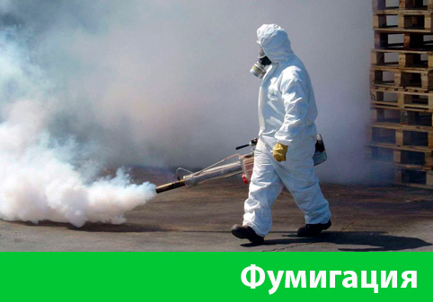 Фумигация в городе Курск