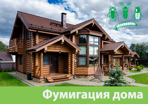 Преимущества обработки газом в городе Курск