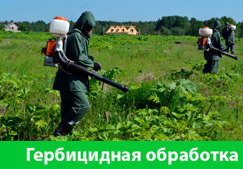 Гербицидная обработка в городе Курск