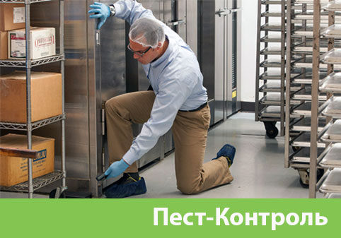 Пэст-Контроль в городе Курск