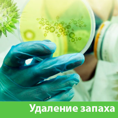 Удаление запахов в Курске
