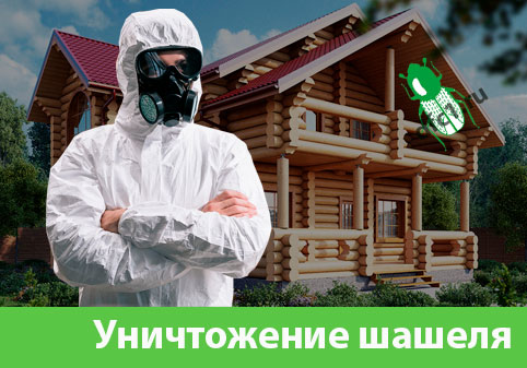 Уничтожение шашеля и личинок в Курске
