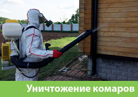 Уничтожение комаров в городе Курск