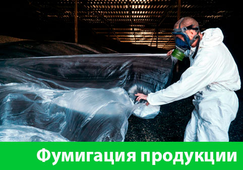 Фумигация продукции в городе Курск